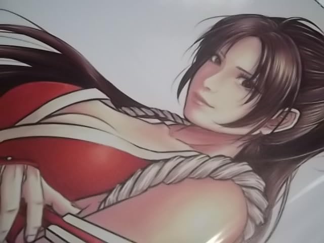 キングオブファイターズ 不知火舞 ポスター 額付き フレーム付き Amazon.co.jp: 品不知火 舞 (ブリキポスター) ビンテージ仕様金属板縦