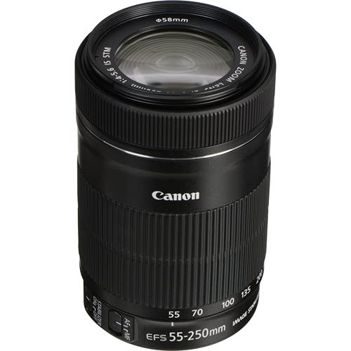 Amazon.com : Canon EF-S 55-250mm f/4-5.6 IS STM Lens | Compact