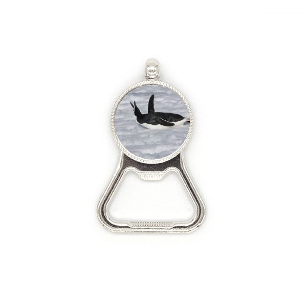 Décapsuleur en acier inoxydable motif pingouin antarctique noir, idée cadeau originale pour table