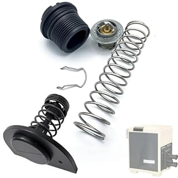 pool heater thermal regulator - Are These the Top Choices You Need? 2 pool heater thermal regulator