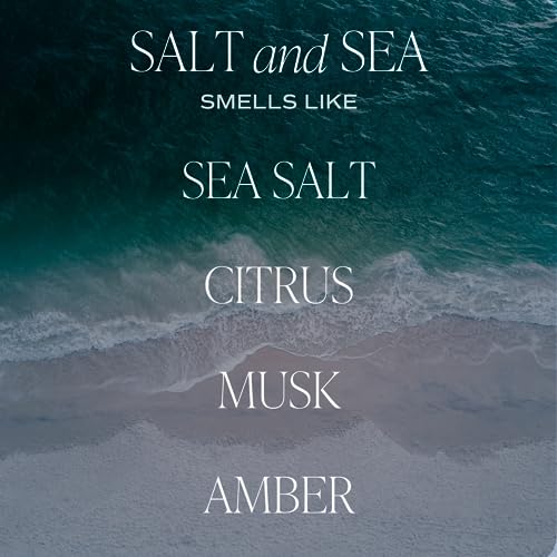 Sweet Water Decor Salt & Sea Reed Diffuser Set thumb #2