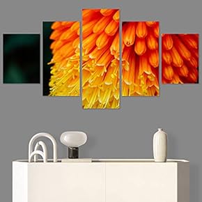 SIGNWIN 5 Panel Canvas Wall Art Flora Snapshot...