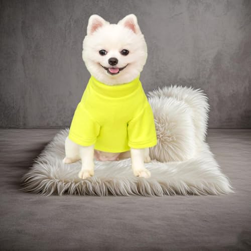 2 Stück/3 Stück Fleece Hundepullover für kleine Hunde, weicher Warmer Rollkragen Hunde Sweater Mantel, Haustier Welpe Katze Winterbekleidung (A-Grün Gelb, L)