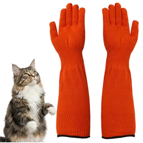 Guantes de gato para evitar arañazos en veterinario y lavado en casa 2