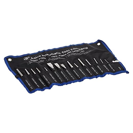 Astro Pneumatic Tool 1600 16-Piece Punch and Chisel Set