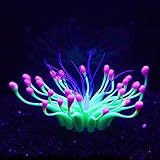 ★ 【Schöner visueller Effekt】 Unterschiedliche Lichter, unterschiedliche Effekte. Änderungen in der Farbe des Lichts erzeugen unterschiedliche visuelle Effekte