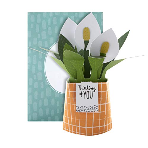 Hallmark Biglietto pop-up – Design contemporaneo con giglio della pace