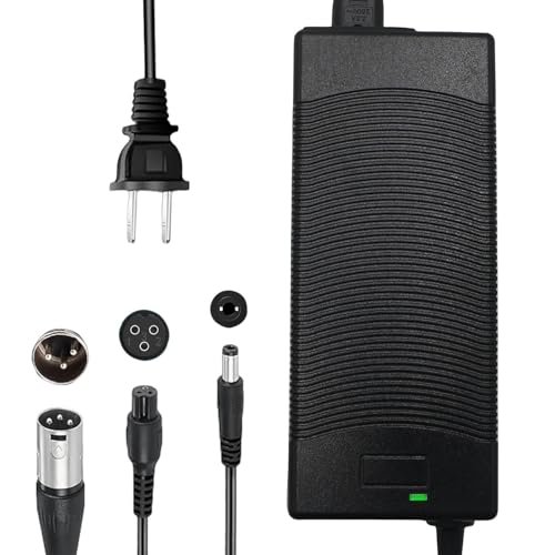 THEPRO 54.6V 2A Charger, Universal Electric ebike Scooter Smart Charger for 48V Li-ion Battery, with DC5.5MM Jack Connector, 3-Prong Inline Connector, 3pin XLR Plug