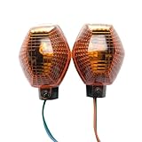 Questa luce di direzione per motocicletta ha una lampadina ambra ultra luminosa all'interno, alta luminosità, che fornisce la massima visibilità e garantisce sicurezza e migliora la stabilità della strada, puoi stare tranquillo con la luce normale nei giorni di nebbia o di pioggia.