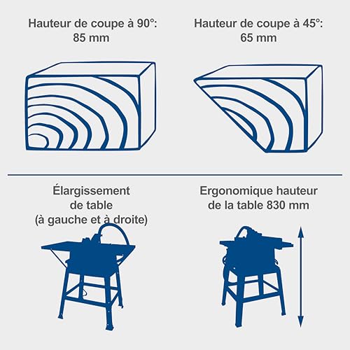 Scie circulaire sur table Scheppach HS100S avec lame 250 mm et puissance 2000W