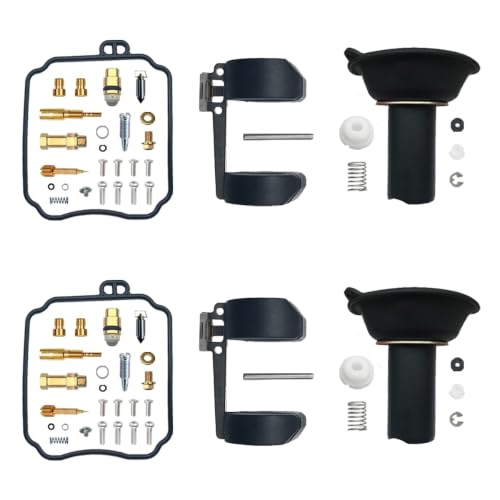 Kit réparation carburateur BDS26 bicylindre en V 250cc GT250 complet