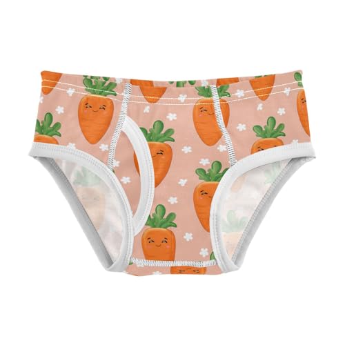 Cute Carrots Toddler Boy's Underwear 2T 202c1787