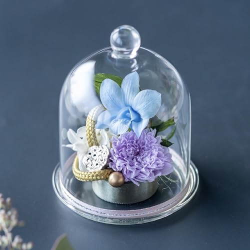 THE WOW p vU[uht[ybsOΉ/lΉz (悩 iu[j, ltyuz)  AWg vU[uht[  h[  d ފ ~ ~ 49 r Op @ ~ ~