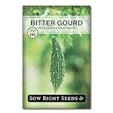 Sow Right Seeds - Bitter Naja Gourd Seeds for Planting - Non-GMO Heirloom Packet with Instructions to Plant an Outdoor Home Vegetable Garden - Long, Asian Variety - Bitter Melon - Balsamic Pear (1)
