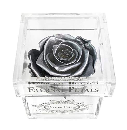 A 100% Real Rose That Lasts A Year - The Perfect Unique Gift for Women and Men, an Anniversary Gift, A Birthday Gift - White Gold Solo (Silver)