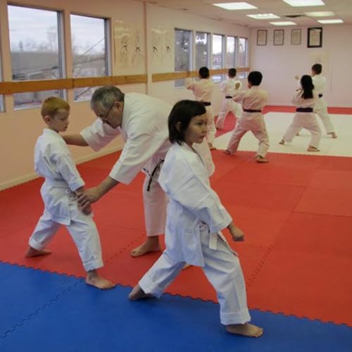 Episode 71: Grading Systems for Karate