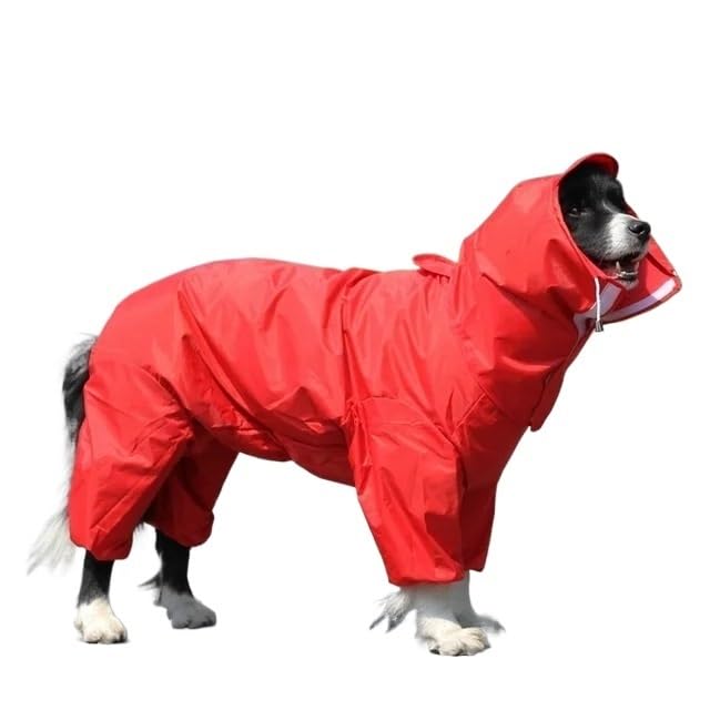 Manteau imperméable chien pour des promenades au sec malgré la pluie et la boue