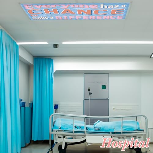 Image of VIHOSE 6 Pcs Fluorescent Light Covers for Ceiling Lights Classroom Magnetic Light Covers Classroom Filters Office School Drop Ceiling, 4 x 2 ft(Inspirational)
