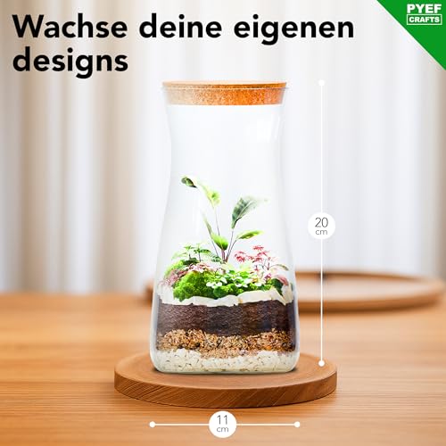 Foto von Flaschengarten Komplettset zum Schaffen EIN Ökosystem im Glas - Terrarium Starter Kit zum Anlegen EIN Biotop im Glas - Terrarium mit Garten Werkzeug, Moos, Erde, Steinen (Ohne Pflanze)
