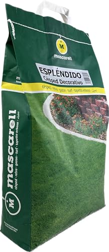 Semillas de césped resistente Mascarell de 5kg para suelos compactos 2