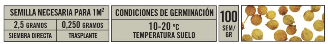 Semillas Batlle Kolendra Nasiona, 100 g