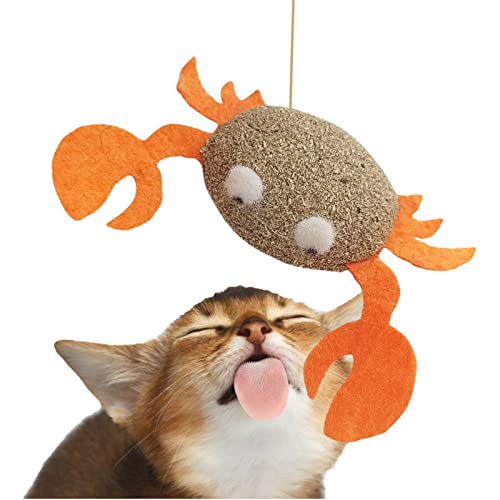 Catnip Cat Brinquedos | catnip interativos para gatos interior,Gatos Molar Catnip Ball Dentes Limpos