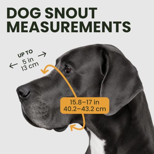 BRONZEDOG Hundemaulkorb Verstellbar Robustes PVC/Metalldrahtkorb für Große und Sehr Große Hunde mit Lederbändern Atmungsaktiv, Trinkfähig, Training, Verhindert Beißen (Great Dane, Edelstahl)