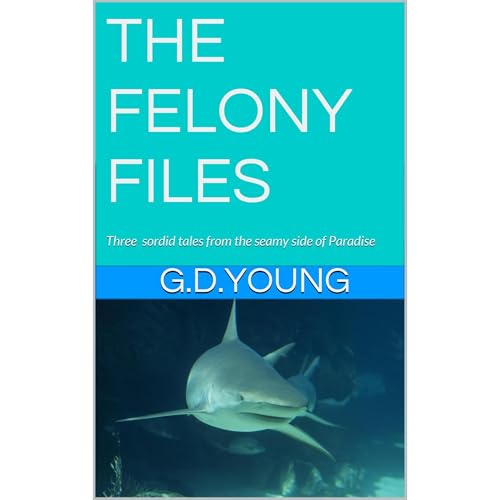THE FELONY FILES Audiolibro Por G.D. YOUNG arte de portada