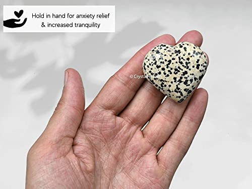Image of Certified Dalmatian Jasper Crystal Heart Palm Pebbles Stones for Anxiety Stress Relief Massage - AAA Grade Original Healing Gemstone Agate Heart Palm Stone for Yoga Meditation Spiritual