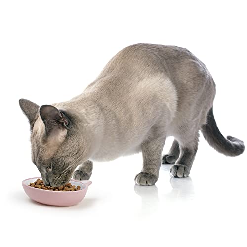 Petrageous 70658 Oval Frisky Kitty Stoneware Cat Bowl 5.5-Inch Wide And 1.5-Inch Tall Saucer With 5.3-Ounce Capacity And Dishwasher Safe Is Great For Cats, Pink #TOP5