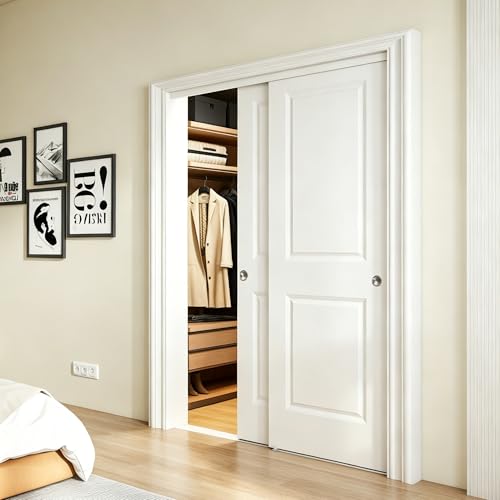 48x80 in Raised Panel Hollow Door