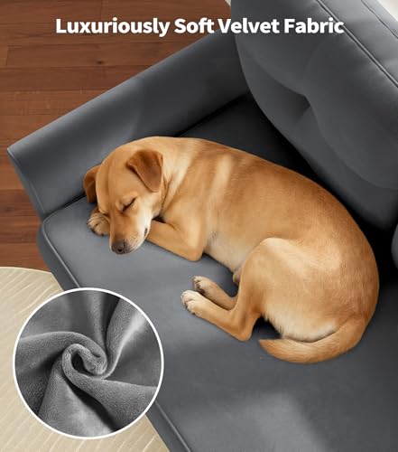 Domusensus Kleines Sofa 2 Sitzer, 123CM kleine Couch 2 Sitzer, Sofa klein mit 53CM extra tiefen Sitzen, MiniSofa Wohnzimmer, Werkzeugfreie Montage Sofas & Couches, Bequemer Samt Mini Couch, Grau