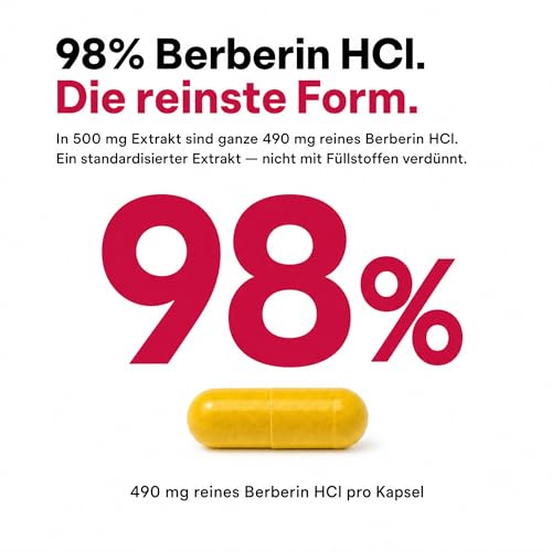 Berberin Kapseln Hochdosiert 500mg – Berberine HCl 98% aus Berberis Aristata Wurzelextrakt – Geruchsneutral, Ohne Zusatzstoffe, Vegan, Laborgeprüft (60 Kapseln)
