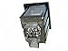 Optoma BL-FP350A Projector Assembly with Original Bulb Inside