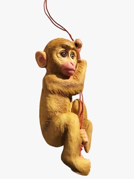 See full amazon price history chart for MEHRAS Life Style Resin Monkey Climbing Hanging Animal Statue with Rope showpiece for Gift Indoor Outdoor MEHRAS Life Style Resin Monkey Climbing Hanging Animal Statue with Rope showpiece for Gift Indoor Outdoor (B09SJ3W7D7) Amazon Price History, Amazon Price Tracker
