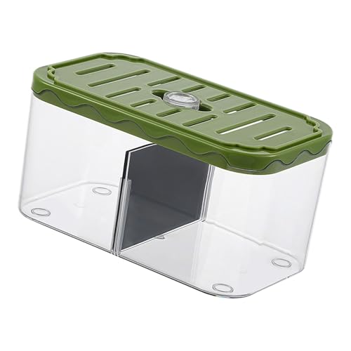 Bothyi Aquarium Breeding Box Small Fish Tank Multifunction Table Centerpieces Acclimation Hatchery for Clownfish Home, Green