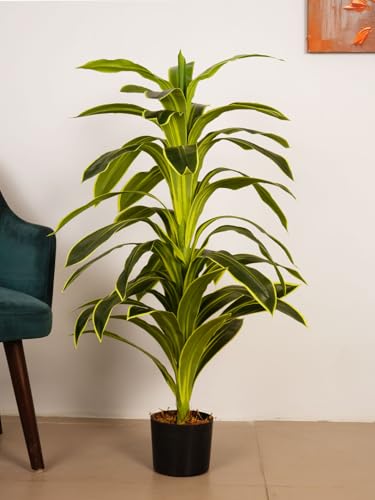 Image of ARICK DECOR 4Ft Artificial Variegated Dracaena Plant in Pot, 4ft Realistic Faux Song of India Tree, White Green Peacock Shaped Floor Plant for Home & Office