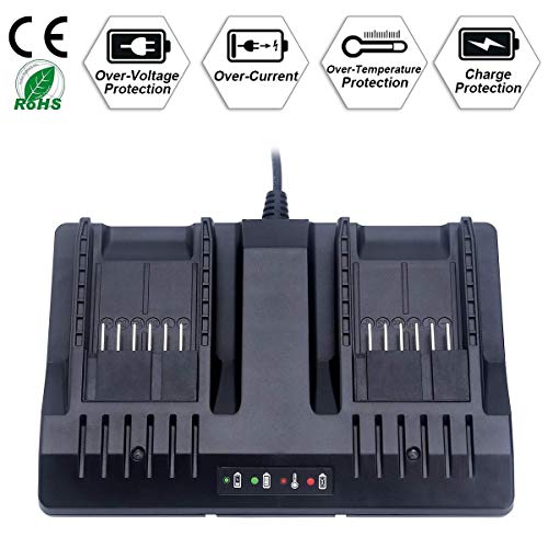 WA3875 Dual Port Charger