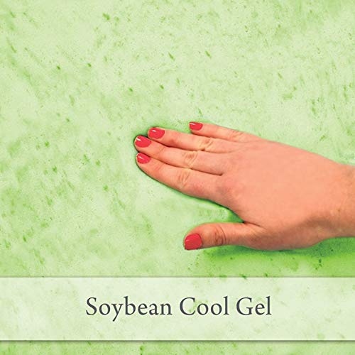 https://m.media-amazon.com/images/I/414Tusr26wL._SL500_.jpg