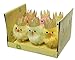 Oster Küken 6cm x 6 Stück Chenille Plüschküken mit Krone Osterdeko zum Basteln/Kaemingk - 872658 - Chenille Chicken Crown Box 6 - Sortiert