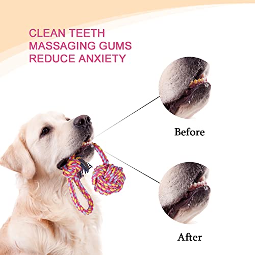 Vivifying Hundespielzeug Seil mit Ball, 2 Stück Interaktive Geflochtene Baumwolle Hundeseil Knoten für Hunde Zähne Reinigung