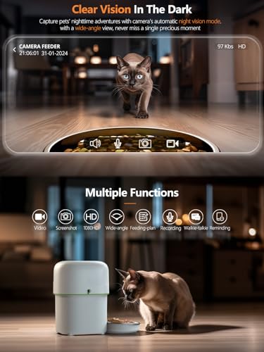 Comedero automático para gatos con cámara y control WiFi 5G