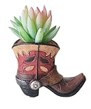 Eagrafts Succulents Plants Artificial, Mini Fake Succulents in Resin Western Cowboy Boot Pot with Catoon Face for Desk Livingroom Home Decoration Office Decor