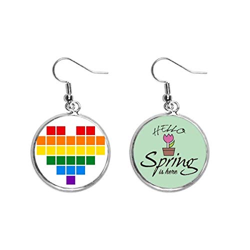 Pendientes Rainbow Gay Lesbian caja corazón joyas de primavera pendientes decorativos LGTB