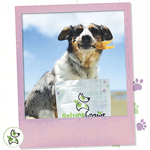 Nature Gnaws Tendons For Dogs - Premium Natural Beef Sticks - Simple Single Ingredient Tasty Dog Chew Treats - Rawhide Free - 4-5 Inch (5 Count) #TOP6