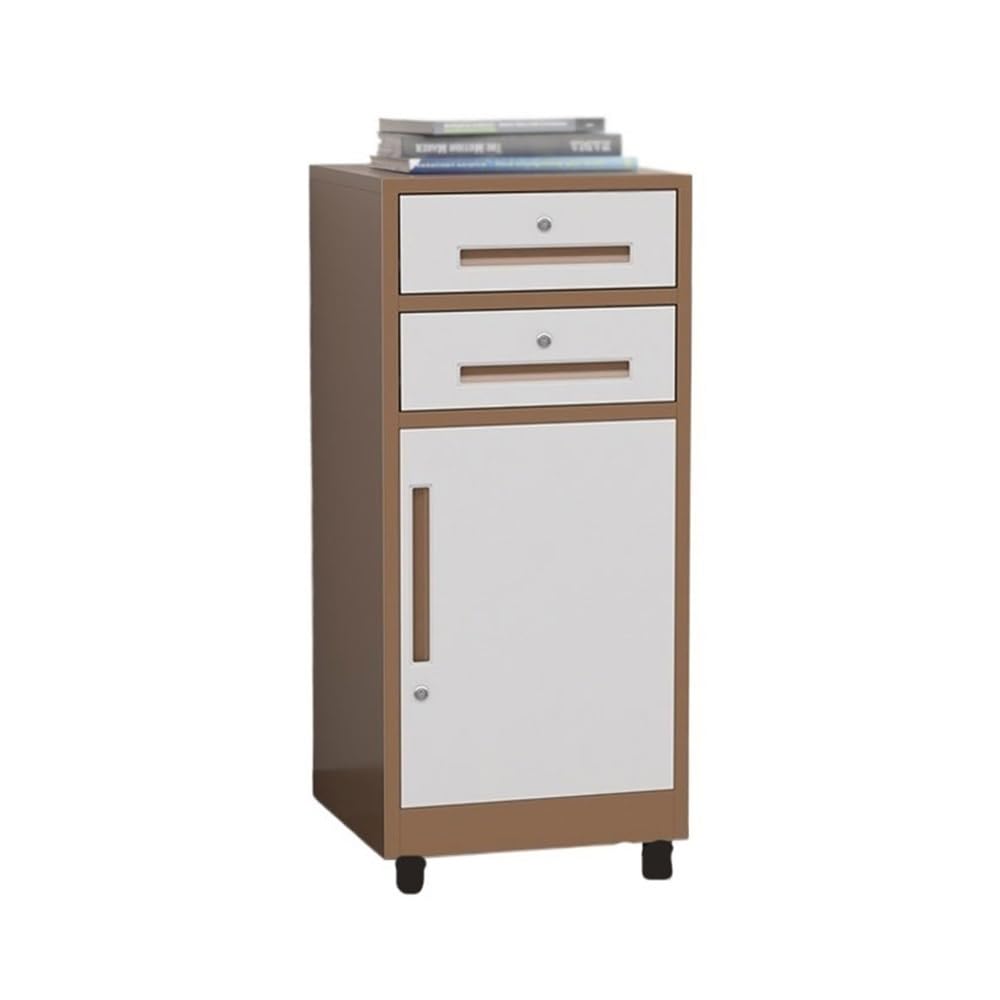 Aioneer File Cabinet Multifunctional File And Archive Cabinet Steel Double Drawer Cabinet Balcony Bookcase Storage Cabinet Office Ing Cabinet Filing Cabinet-Bruin