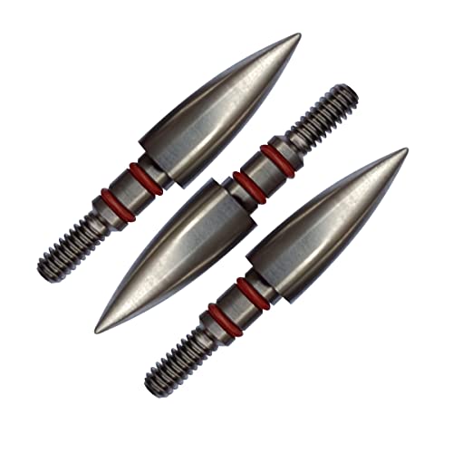 125 Grains Field Points,Stainless Steel Archery Field Points Screw in Archery Field Tips (12 Pack) (5/16¡å 125 Grains)