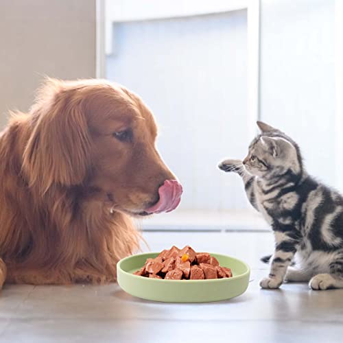 Towviy 2 Stück Futternapf für Katzen, Bunte Katzennäpfe Futterschale flach Katzennapf Wasser Fütterung Schüssel Katzenfutter Wasserschale für Hunde Katzen Hasen(Aprikosengelb Lichtgrün)