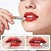 DUcare Lip Brush With Cap Lip Smudge Brush Mini Lip Makeup Brush Multi-purpose Makeup Blending Brush for Home and Travel