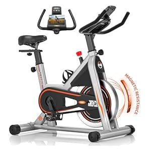 Exercise Bike, DMASUN Classic Brake Pad Pro Stationary Bike for Home with 330 LB Capacity, Workout Bike with Comfortable Seat Cushion, Digital Display with Tablet Holder